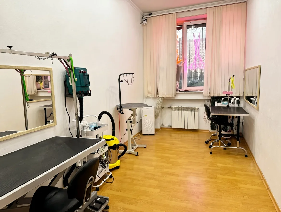 Ухоженный питомец после визита в ГрумСтар